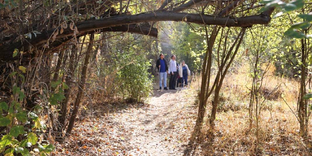 Nevşehir’in sessiz vadisi! Doğa tutkunlarının aradığı adres: Turistler keşfetmeden siz keşfedin! 3